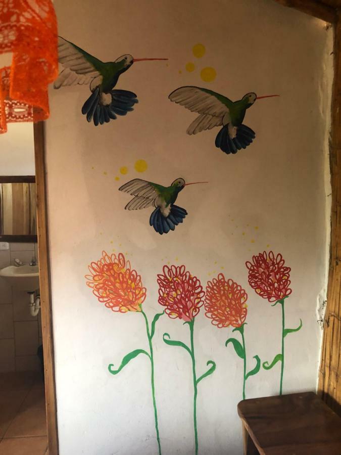 Hostal Rutamar Canoa Bagian luar foto